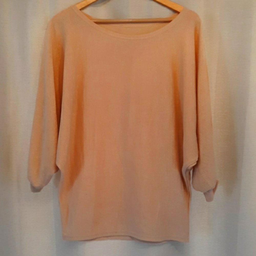 Tan Blouse